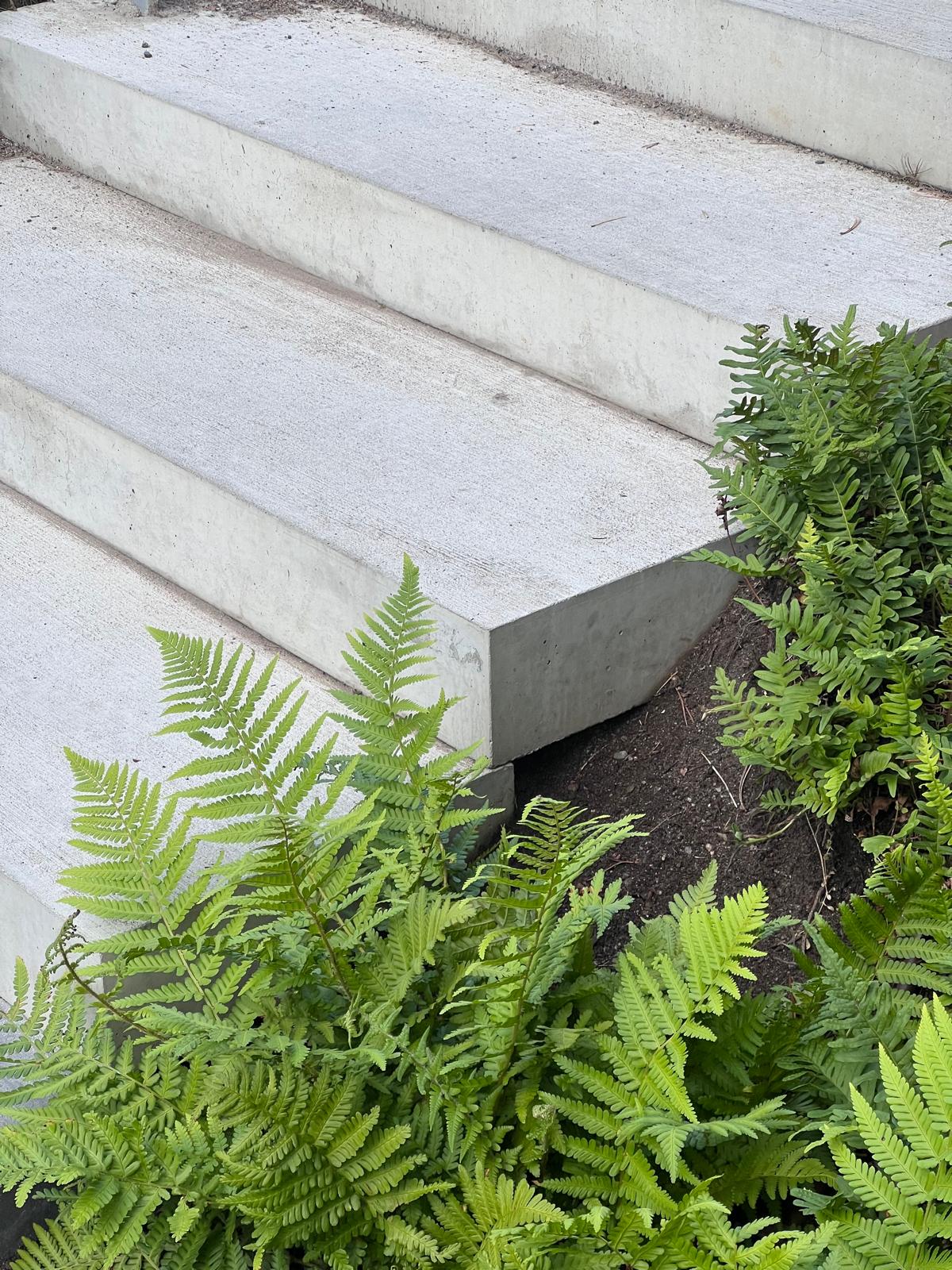 Klockaregården landskapsplanering