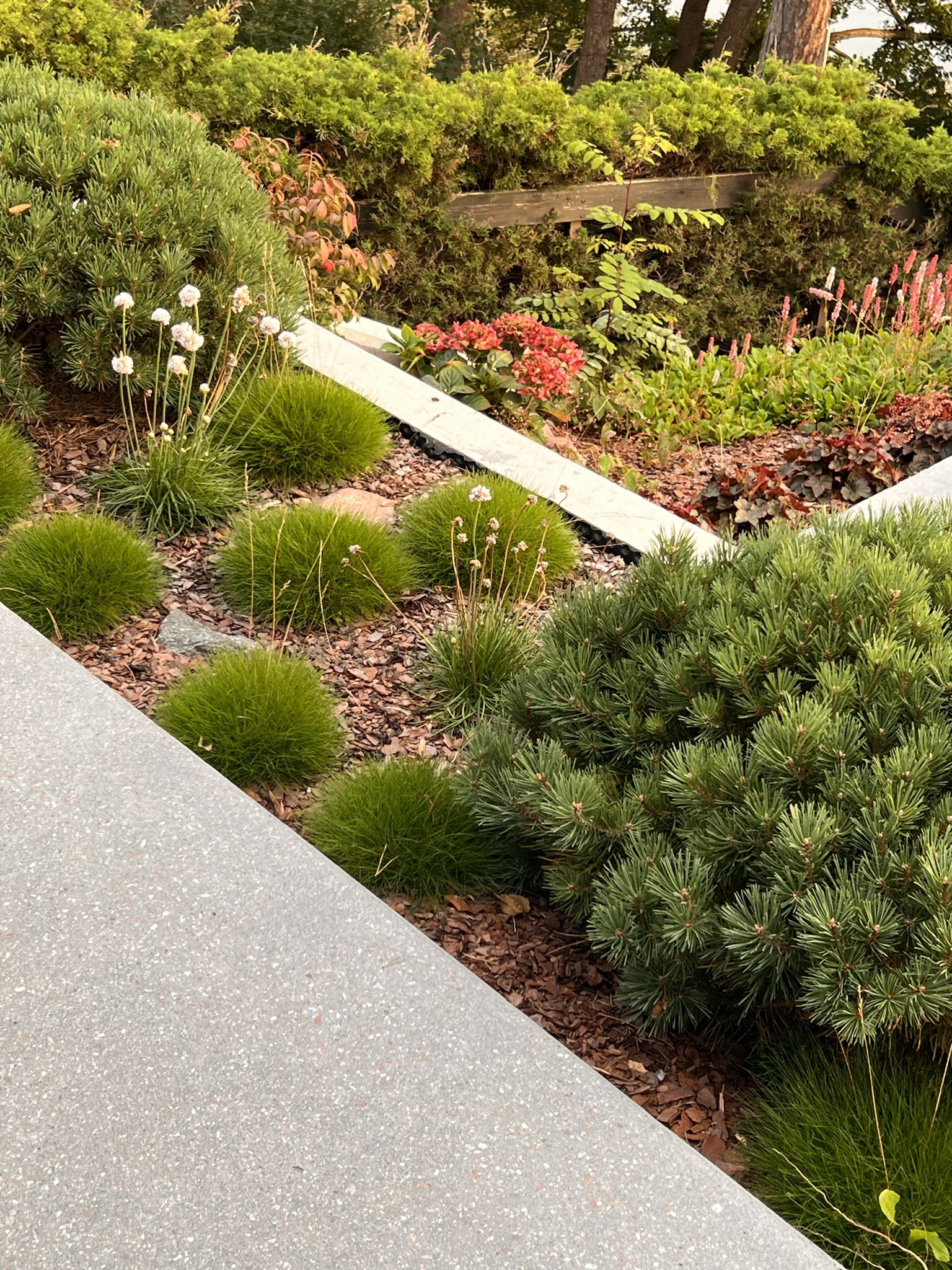 Trädgårdsrådgivning och växtplanering