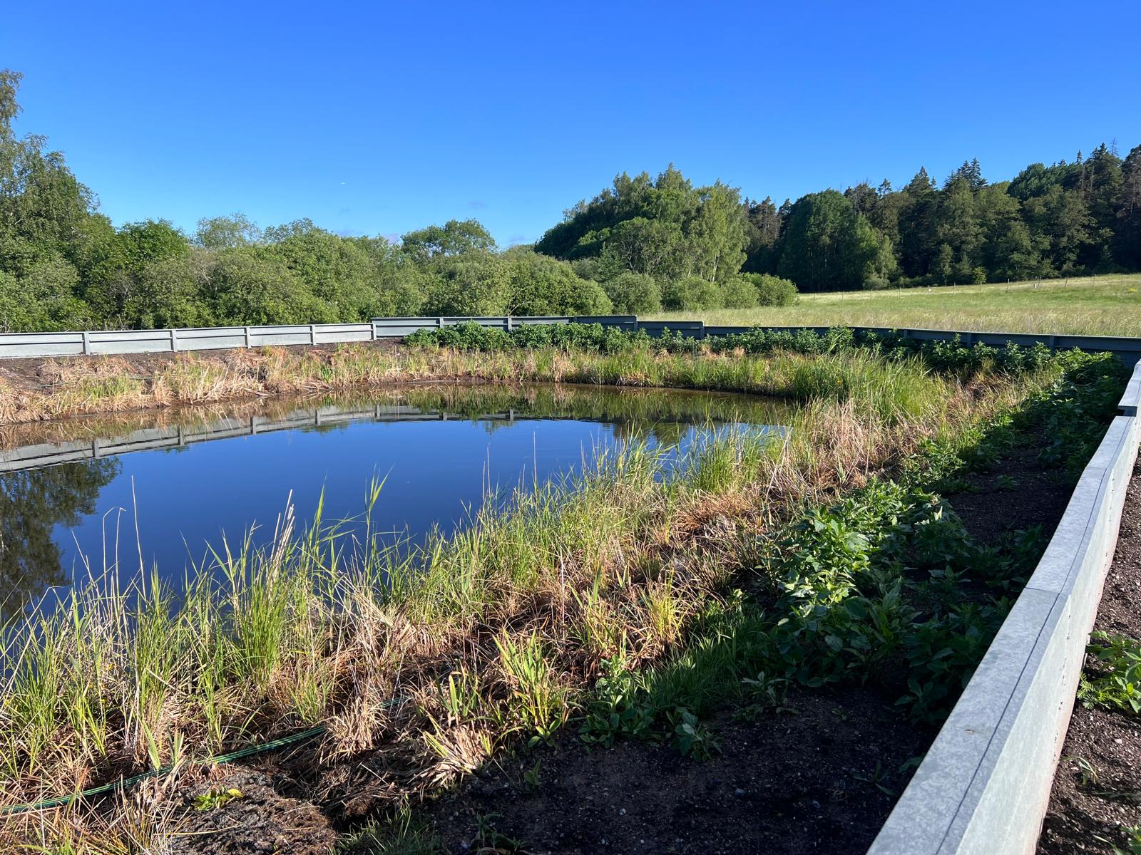 Dagvattenhantering design